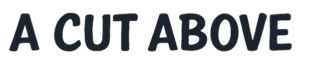 ACA logo